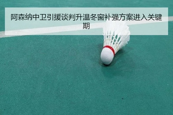 阿森纳中卫引援谈判升温冬窗补强方案进入关键期